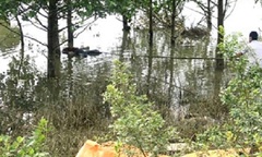 Phát hiện thi thể một phụ nữ trên sông Lam