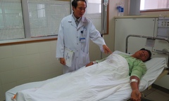 Rắn lục đuôi đỏ tấn công người ở Huế