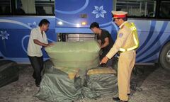 Bắt giữ xe ô tô khách chở hàng trăm kg hàng lậu