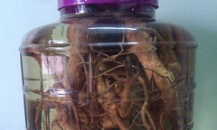 Cùng uống rượu ngâm rễ cây, 1 người chết, 1 người nguy kịch