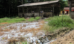 Mầm mống ung thư ngang nhiên tràn ra môi trường