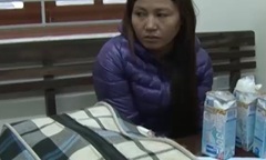 “Nữ quái” giấu ma túy trong hộp sữa từ Lào về Nghệ An