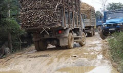 Thanh Hóa: Ban hành chỉ thị ngăn chặn xe quá khổ, quá tải