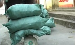 Video: Bắt giữ 484kg pháo nổ trị giá trên 100 triệu đồng
