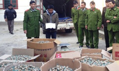 Bắt quả tang đối tượng vận chuyển gần nửa tấn pháo lậu