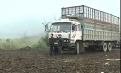 Video: Hành trình phá án - Bộ tứ sa lưới P2/3