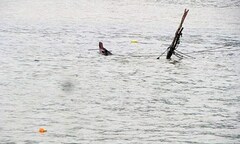 Tìm thấy thi thể một ngư dân mất tích trên vùng biển Quỳnh Lưu