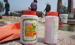 Phát sợ đặc sản tôm khô: Ngâm hóa chất, đốt cháy khét