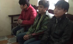 Bắt giữ ba đối tượng vận chuyển cần sa từ Lào về Việt Nam