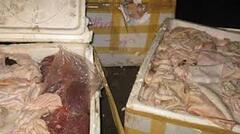 Xe khách chở hơn 1 tấn nội tạng không rõ nguồn gốc tuồn vào Hà Nội