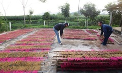 Nghệ An: Làng hương Liên Đức tất bật phục vụ mùa tết