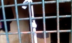 Nam thanh niên treo cổ tự vẫn tại nhà giam công an