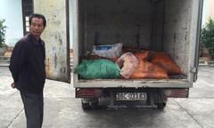 Bắt giữ  xe tải chở 14 bao tải mỡ trâu bò không rõ nguồn gốc