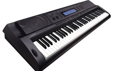 Kinh nghiệm chọn đàn Organ phù hợp với từng người