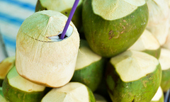 Mẹ bầu học ngay 5 kinh nghiệm chọn dừa ngon đúng chuẩn Bến Tre