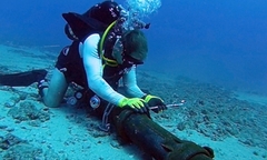 Gần Tết Nguyên đán mới sửa xong cáp quang AAG