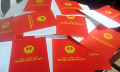 Thời gian cấp số đỏ rút ngắn xuống còn 15 ngày