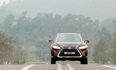 Triệu hồi 360 chiếc Lexus RX tại Việt Nam vì lỗi đóng cửa hậu