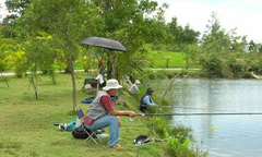 Cần câu cá, máy câu cá - Cẩn thận khi mua