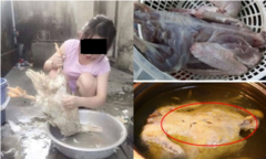 Gái phố về quê ra mắt nhà người yêu phát khóc sau khi tự tay thịt vịt