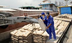 Thanh tra làm rõ tin sai phạm và thua lỗ tại Vicem