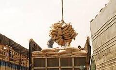 Áp thuế xuất khẩu xi măng 5%: Công ty cổ phần Vicem thương mại xi măng  "tố khổ "