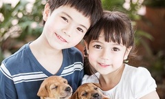 Mong anh hãy tha thứ cho đứa em gái dại dột này!