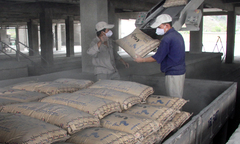 Chuyển đổi địa bàn kinh doanh xi măng, nhà phân phối có bất lợi?