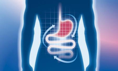 Hết đau dạ dày chỉ cần bấm 1 điểm duy nhất này mỗi ngày trong 4 tuần