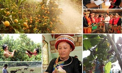 Hộ nghèo dân tộc thiểu số được vay ưu đãi cao nhất 50 triệu/hộ