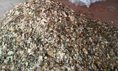 Thoát khỏi các bệnh xương khớp nhờ bài thuốc quý của lương y Triệu Thị Hòa