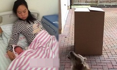 Sự tin tưởng mù quáng và cái thai ngoài ý muốn của cô gái trẻ