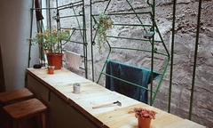 Giới trẻ Hà thành rủ nhau đi tìm “chốn cũ ta về”