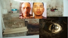 Người thân che giấu tội phạm được loại trừ trách nhiệm khi nào?