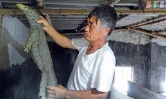 Nông dân trở thành tỷ phú nhờ con vật ai nhìn cũng khiếp sợ