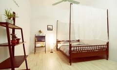 Cảm nhận không khí miền nhiệt đới trong căn hộ Tiwala