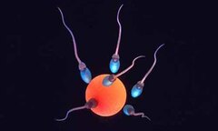 Hạnh phúc nguội lạnh vì khói thuốc