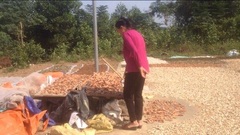 Lương y Triệu Thị Hòa có bị lợi dụng?