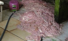 15 tấn nội tạng thối chuẩn bị lên bàn nhậu bị thu giữ