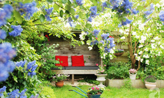 Ngắm những căn nhà tuyệt đẹp làm mê đắm lòng người của 2 nữ đạo diễn