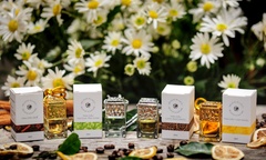 Tinh dầu treo xe cao cấp LACO – Tinh chất từ thiên nhiên