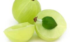 Quả Amla có ở Việt Nam không?