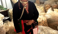 Lương y Triệu Thị Hòa - Bậc thầy chữa khỏi các bệnh xương khớp