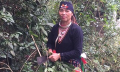 Thoát khỏi các bệnh xương khớp nhờ bài thuốc quý của lương y Triệu Thị Hòa