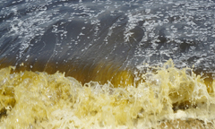 Hé lộ nguyên nhân biển Đà Nẵng xuất hiện vệt nước đen bất thường