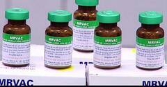 Vắc xin sởi, rubella của Việt Nam được đưa vào tiêm chủng mở rộng