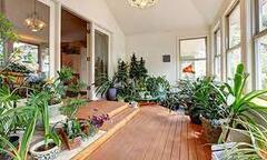 Nhà trồng cây cảnh: Cẩn trọng với những cây đẹp nhưng độc khiến cả nhà hôn mê