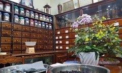 Phương thuốc của Lương y Bùi Văn Luận - niềm hy vọng cho bệnh nhân sùi mào gà