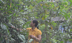 Lương y Triệu Thị Hòa – Xóa tan nỗi đau do các bệnh xương khớp