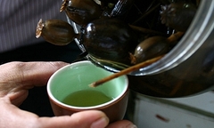 Thực hư rượu ngâm quả anh túc giúp bổ thận tráng dương, mạnh xương cốt